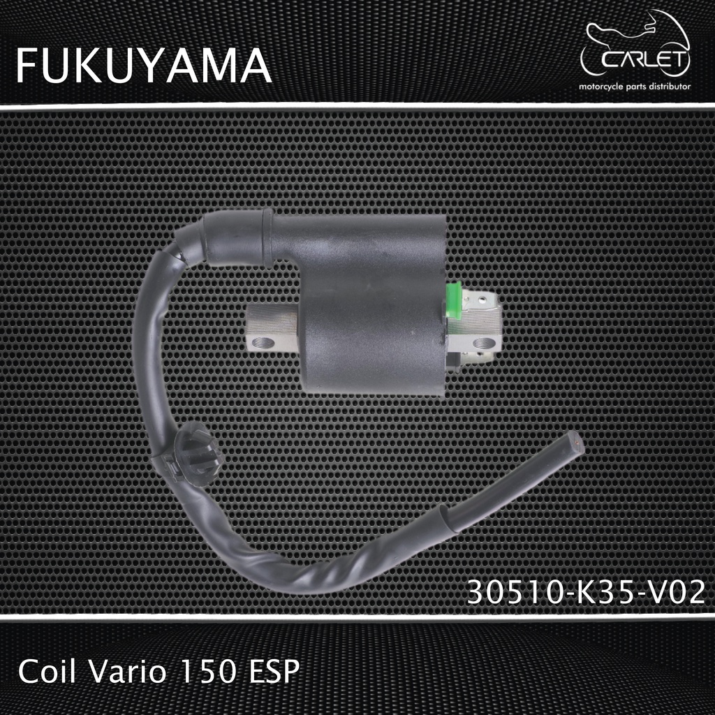 Fukuyama Coil / Koil Vario 150 ESP (12V)