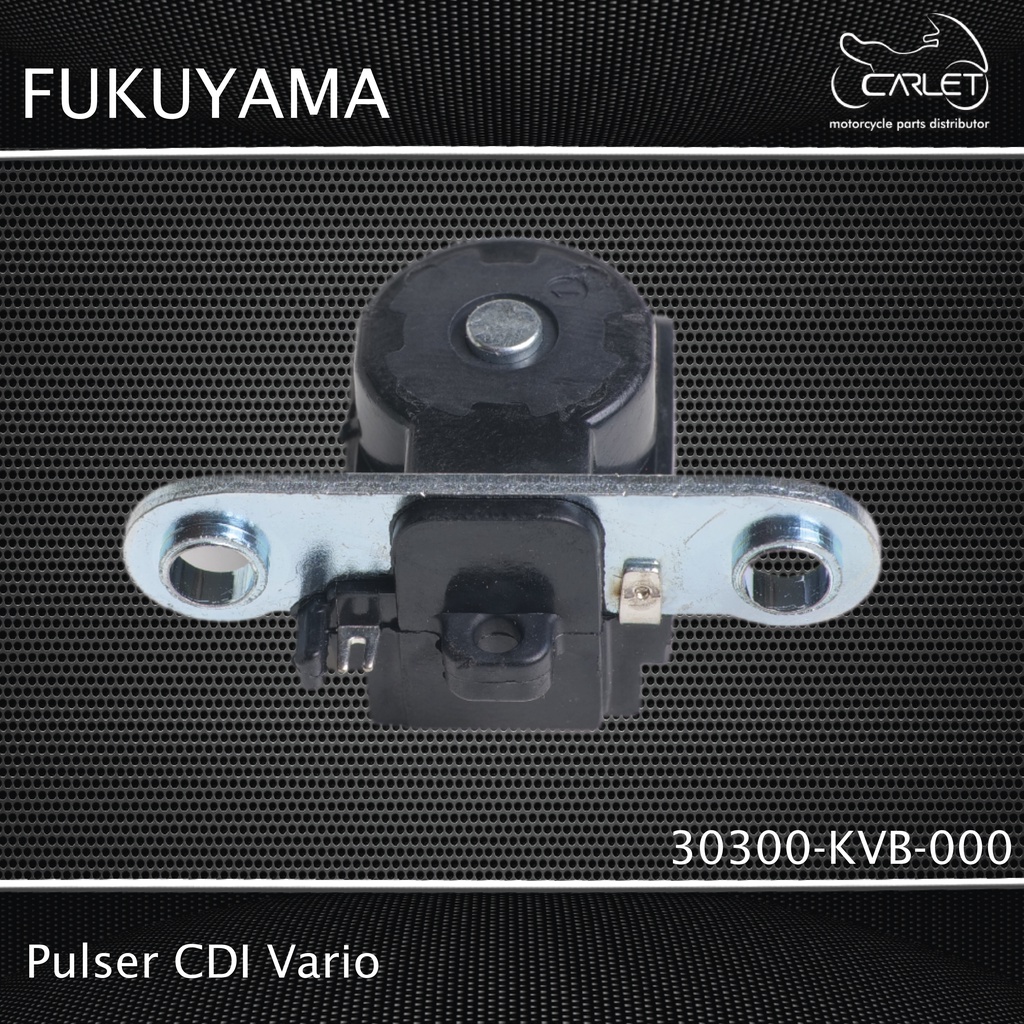 Fukuyama Pulser CDI Vario